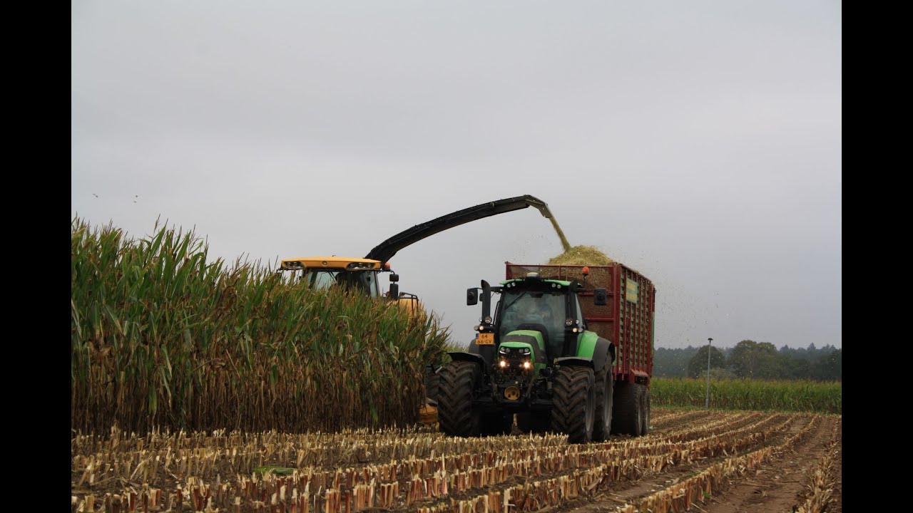 Mais hakselen door loonbedrijf Bosman