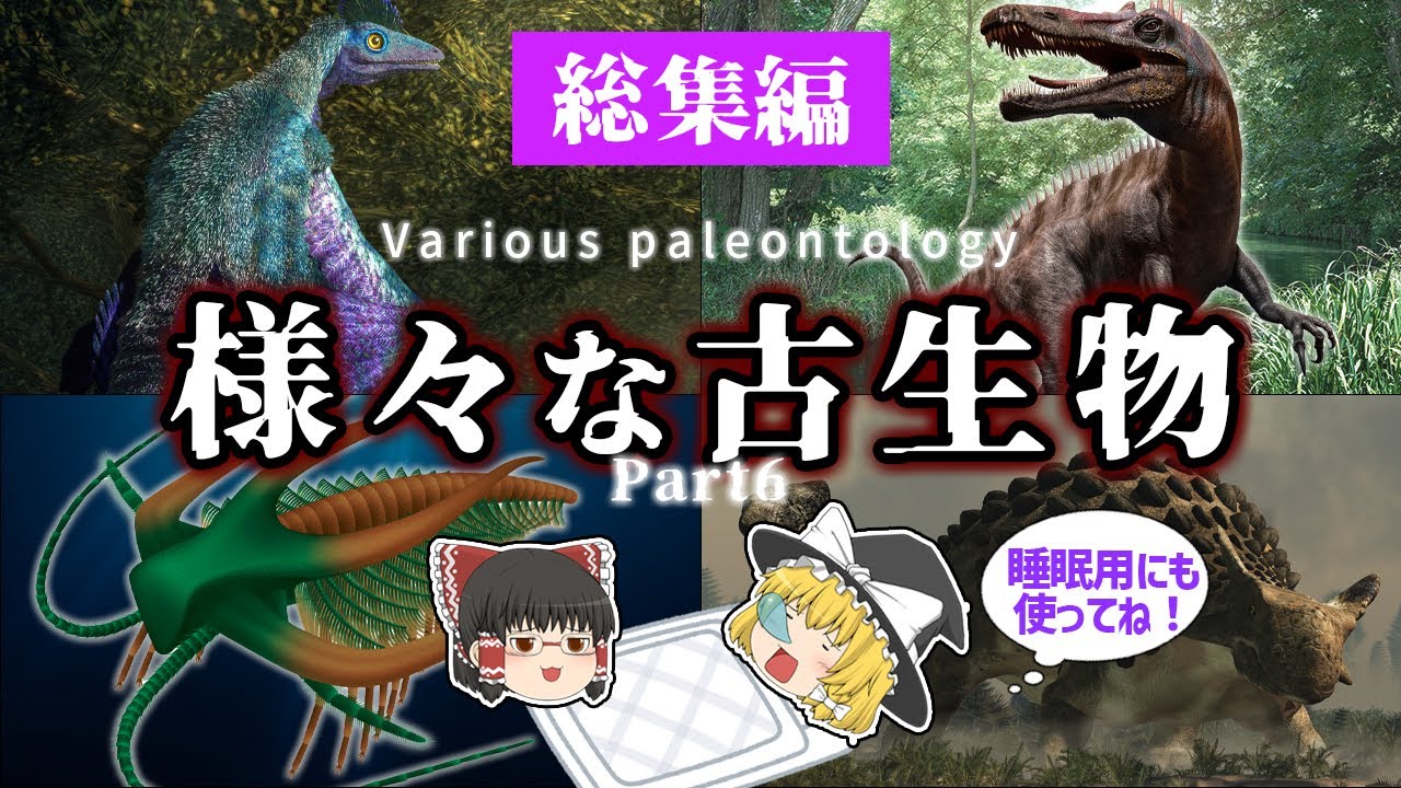 【睡眠用・ゆっくり解説】様々な古生物Part６　マーレラ/ミクロラプトル/ティラコスミルス　など【途中広告なし】