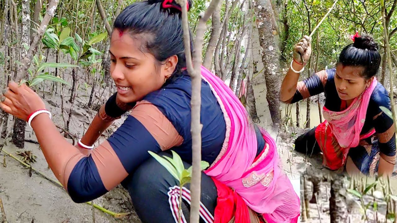 সুন্দরবনের জঙ্গলে এ কেমন মাছধরা হচ্ছে...🤪!! Sundarban fishing and cooking @Tradifoodsundarban