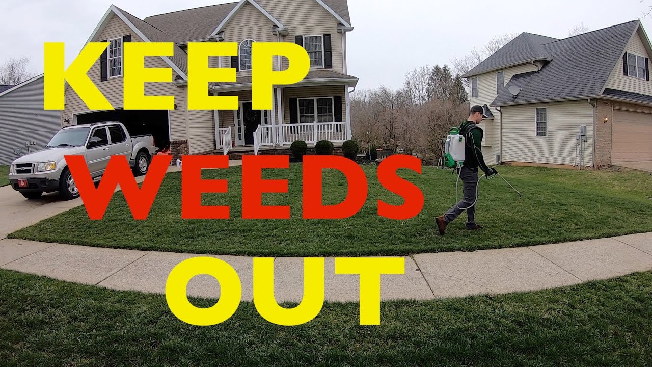 KEEP WEEDS OUT OF YOUR LAWN