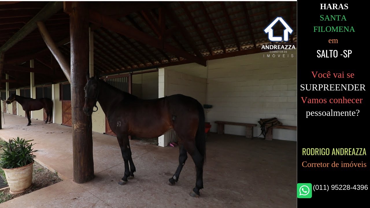 🔴 VENDIDO-Haras no Condomínio Santa Filomena em Salto-SP|Rodrigo Andreazza