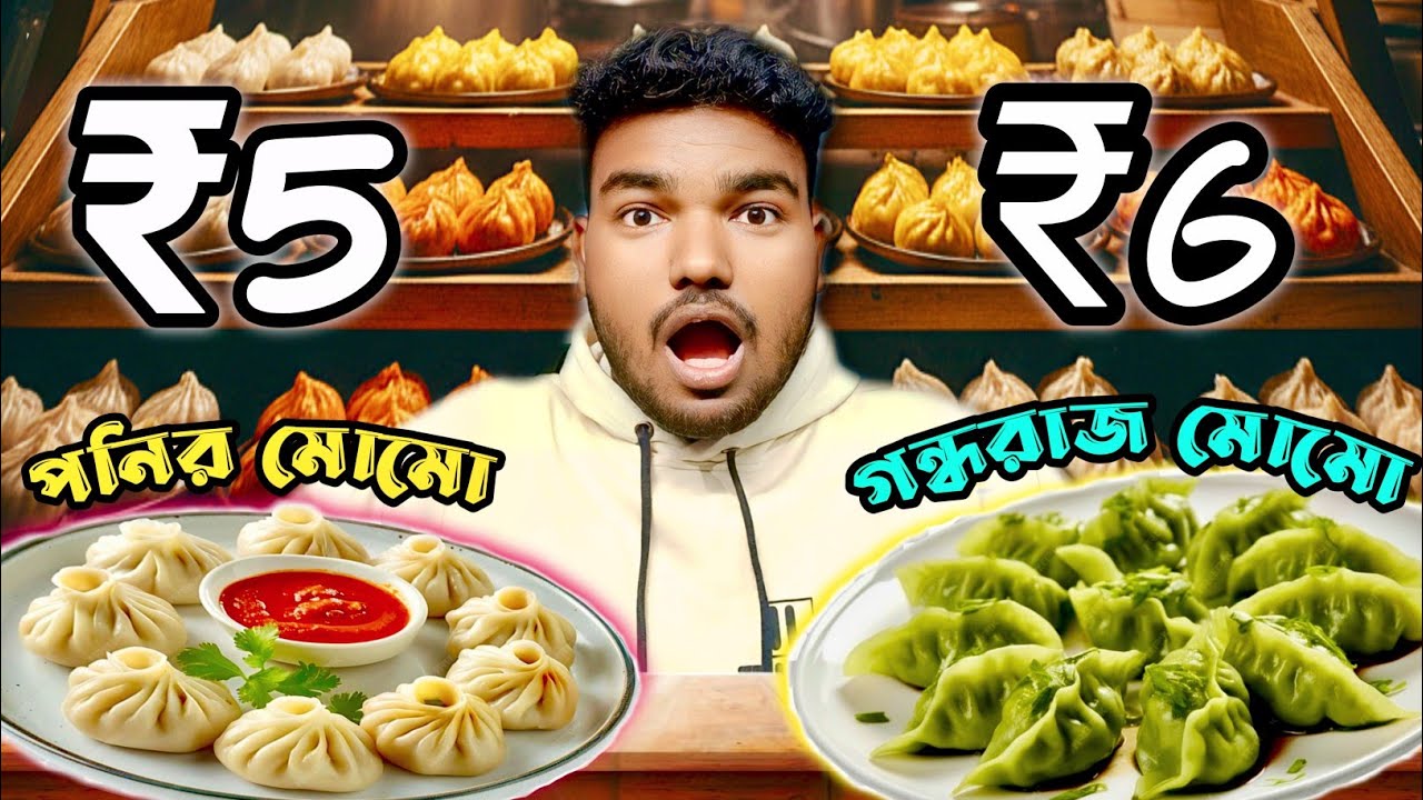মোমো এত কম দামে প্রথমবার হলদিয়াতে! 🥟😲😱 @Sanjibdasvlogging 