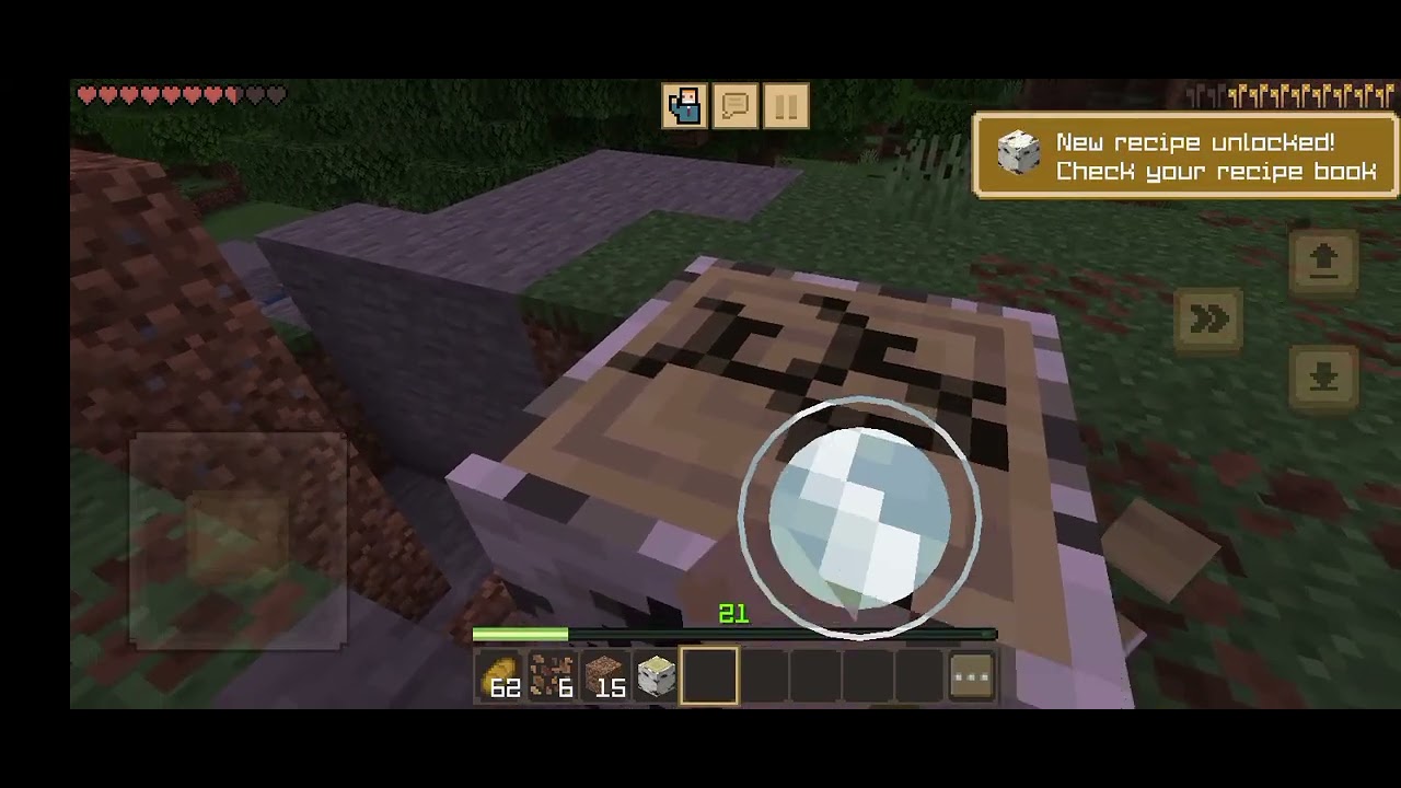 Minecraft challenge 