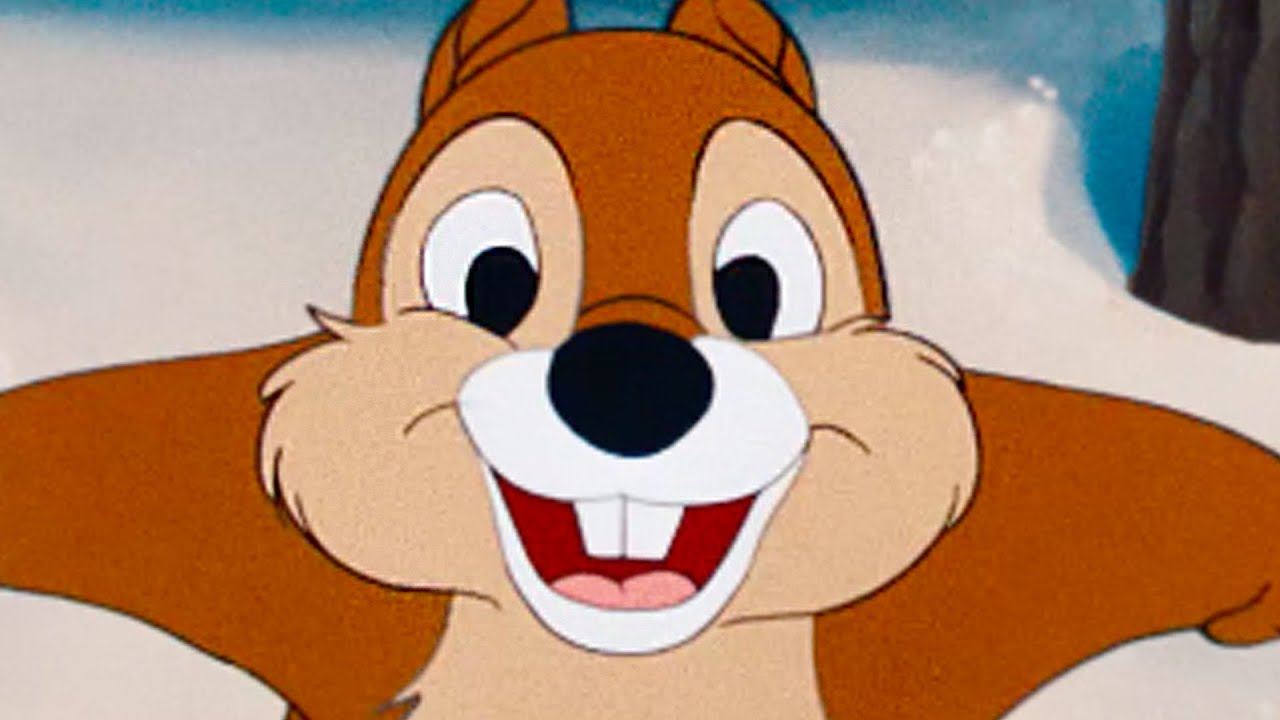 Donald Duck & Chip n' Dale | A ClassIc Mickey Short | Have A Laugh | @disneykids
