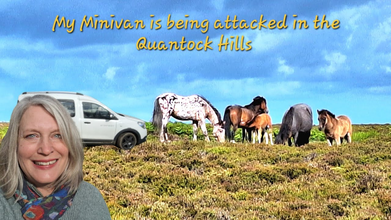 Vanlife and housesitting UK: my 2 weeks in historic Crowcombe, the vast Quantock Hills and Watchet