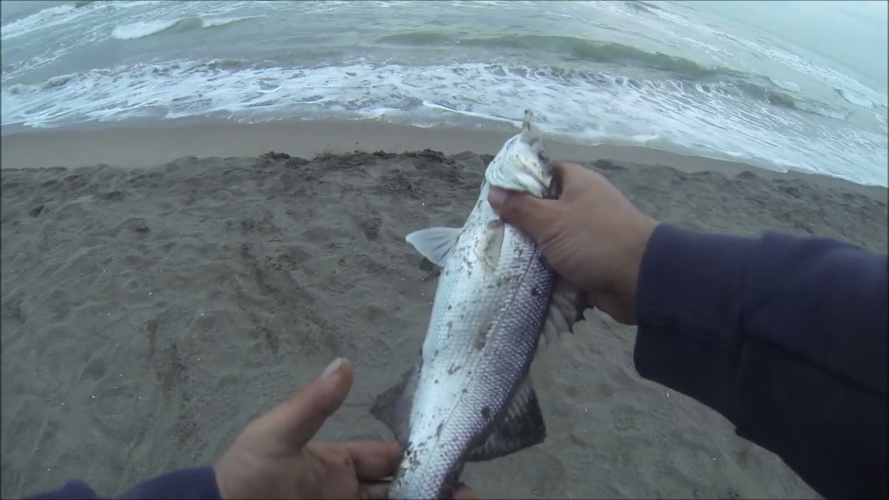SURFCASTING FREGENE APRILE 2022