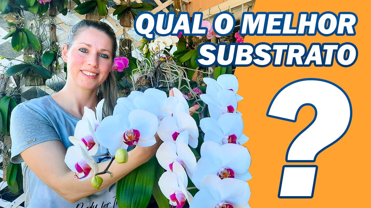 Os 6 Melhores Substratos para Orquídeas