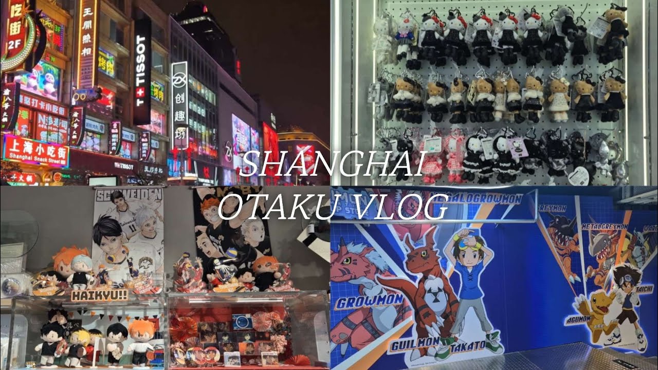 ʚ오타쿠 브이로그ɞ 원래 굿즈는 눈에 들어왔을 때 사야 후회를 하지 않는거다 | 중국 바이롄zx 굿즈샵 상하이 브이로그 Day1-2
