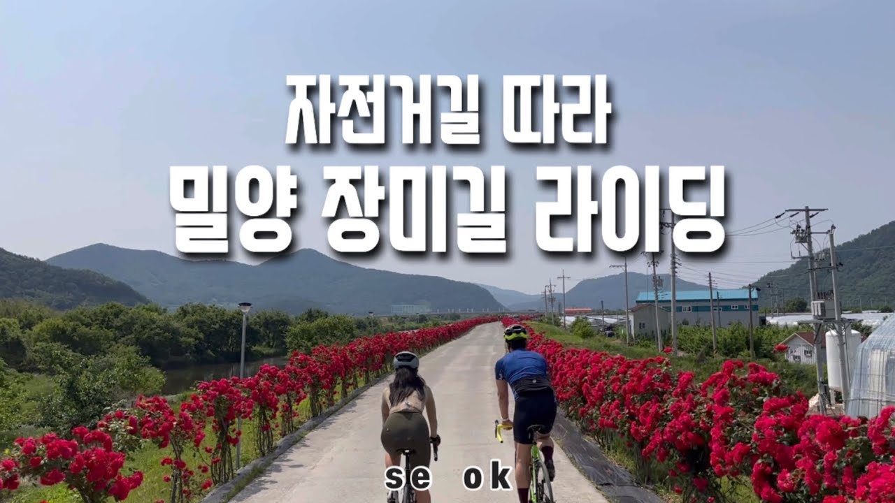 평지 60km 코스 / 밀양 명품장미길 라이딩 / 안장통 유발 주의!!