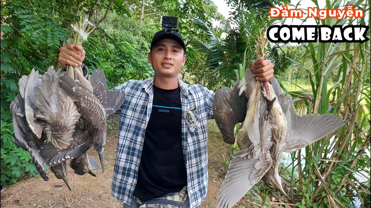 Hunting dangerous birds in the forest | Đảm Nguyễn | Tập 7