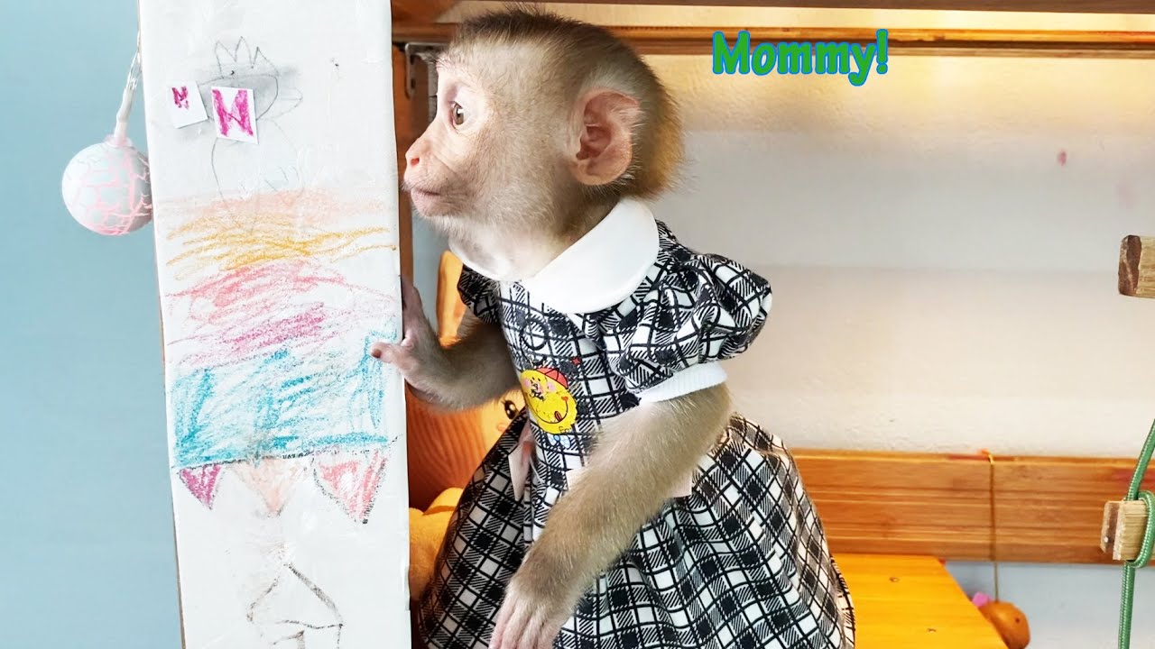Baby monkey Lyly eagerly waits for her mother to come back from the market to buy fruit!