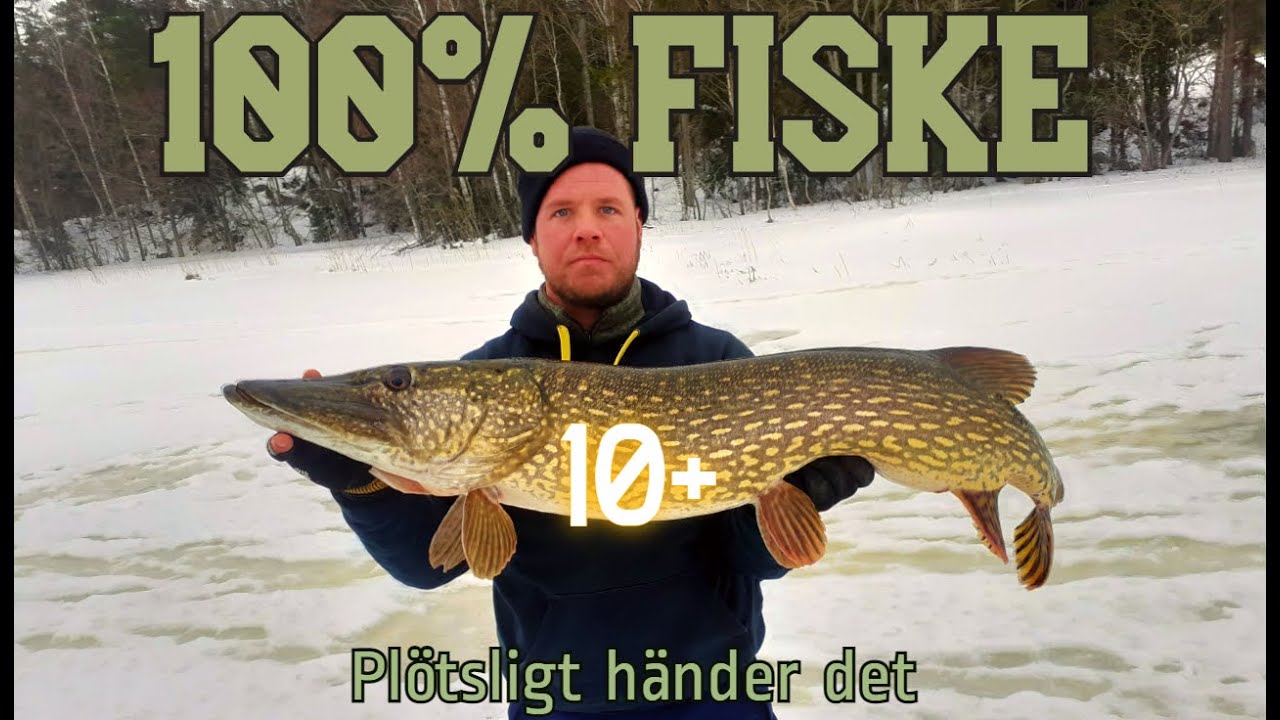 Ismete 10+ Gädda🔥