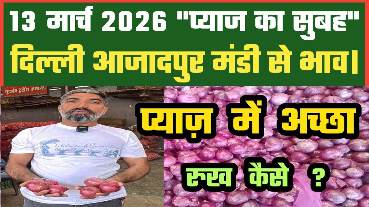 प्याज में अच्छा रुख कैसे ? Azadpur Delhi Mandi Today में 13-03-2026 के Onion Price DMT TV