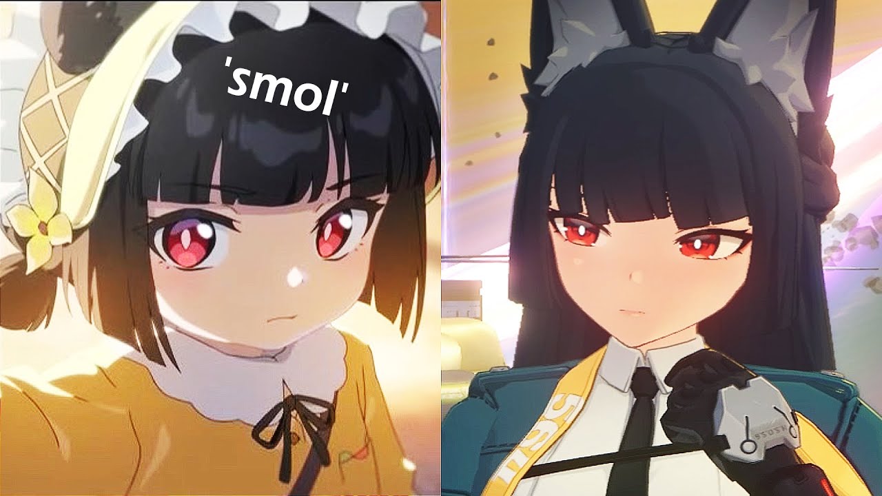 ZZZ Section 6 'smol' Edition... 😭