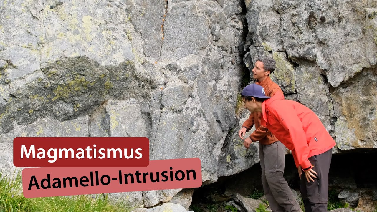 Magmatische Differentiation &ndash; Adamello-Intrusion &ndash; Magmatismus 11