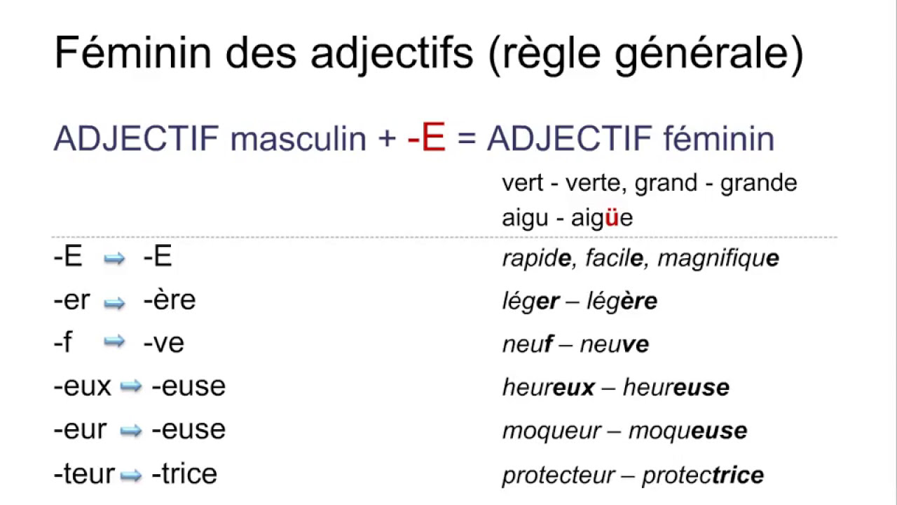 Les adjectifs – introduction  - genre (féminin/masculin) – nombre (pluriel/singulier)