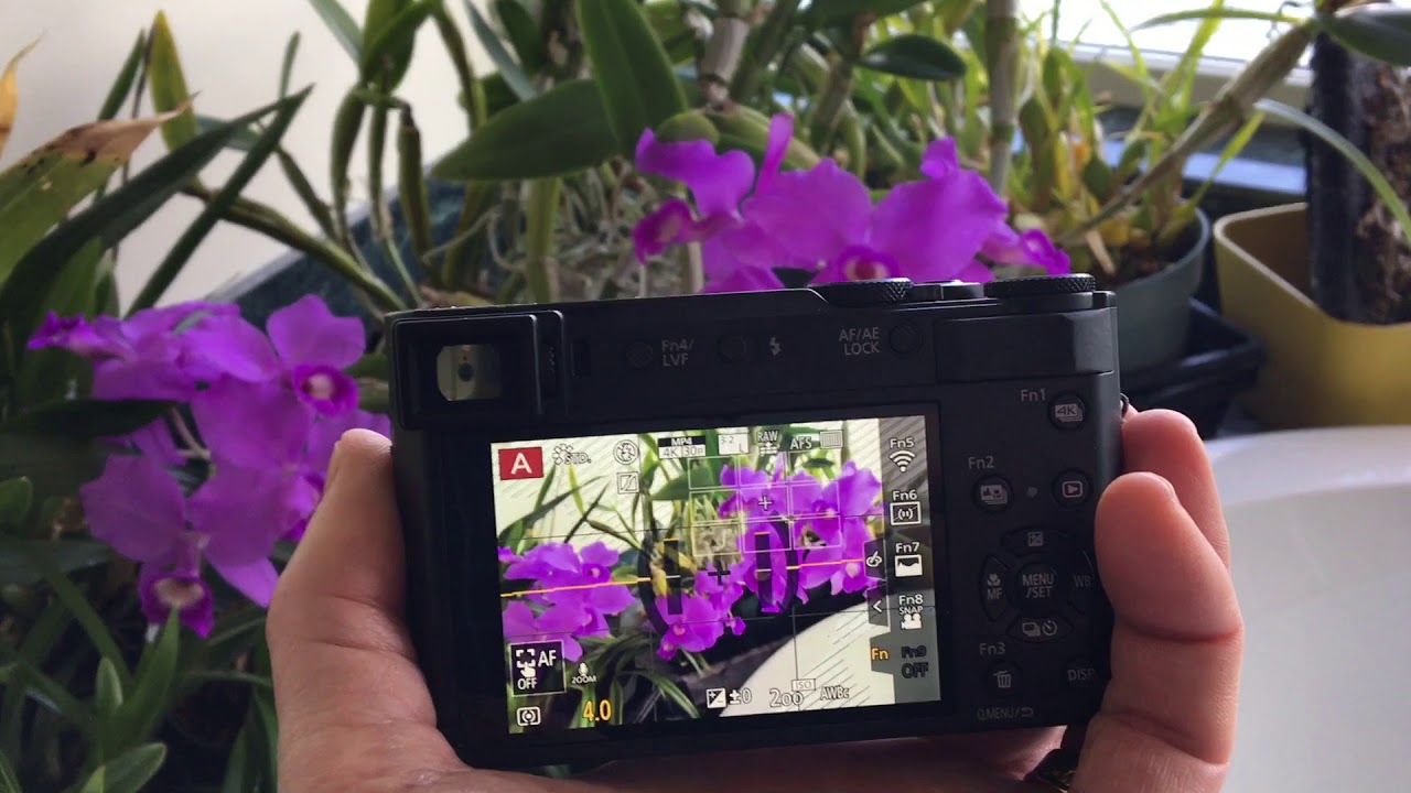 Lumix ZS200 против LX100 против FZ1000 — лучшая камера для путешествий!
