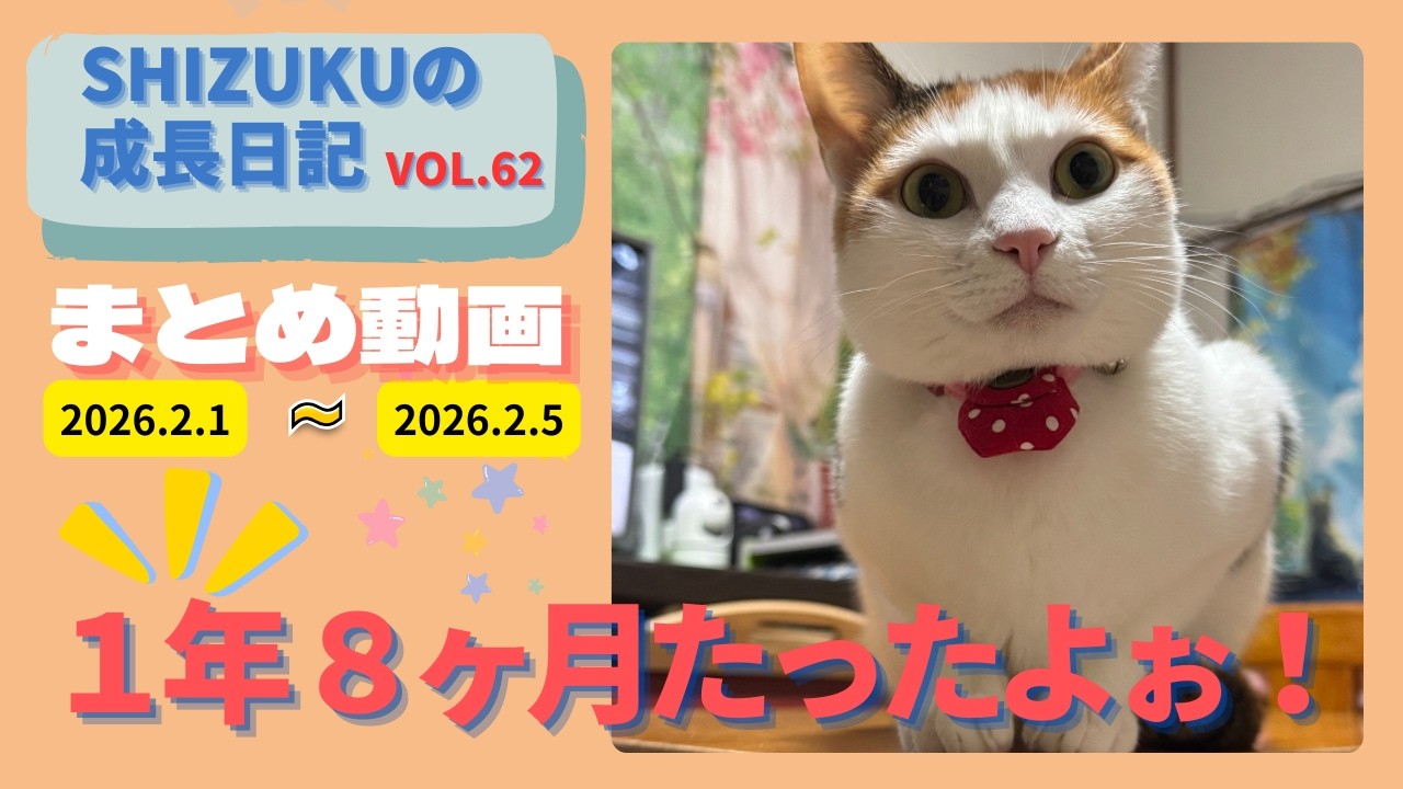 しずくのまとめ動画　2026 2 1~2026 2 5
