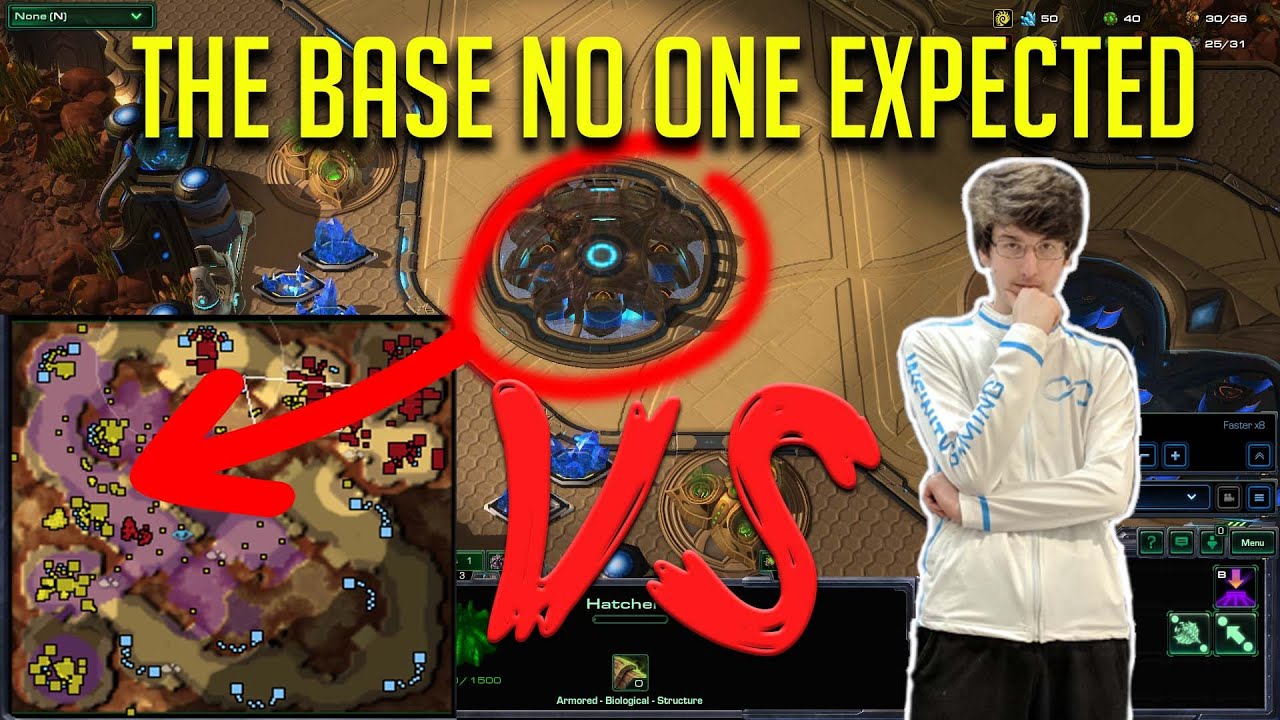 I've never taken this base vs a pro before.. - PandaBearMe Highlights
