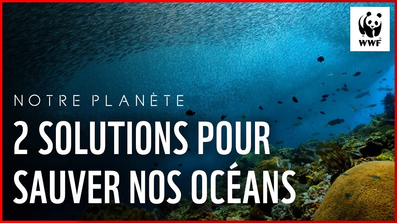Notre Planète : comment sauver nos océans ?