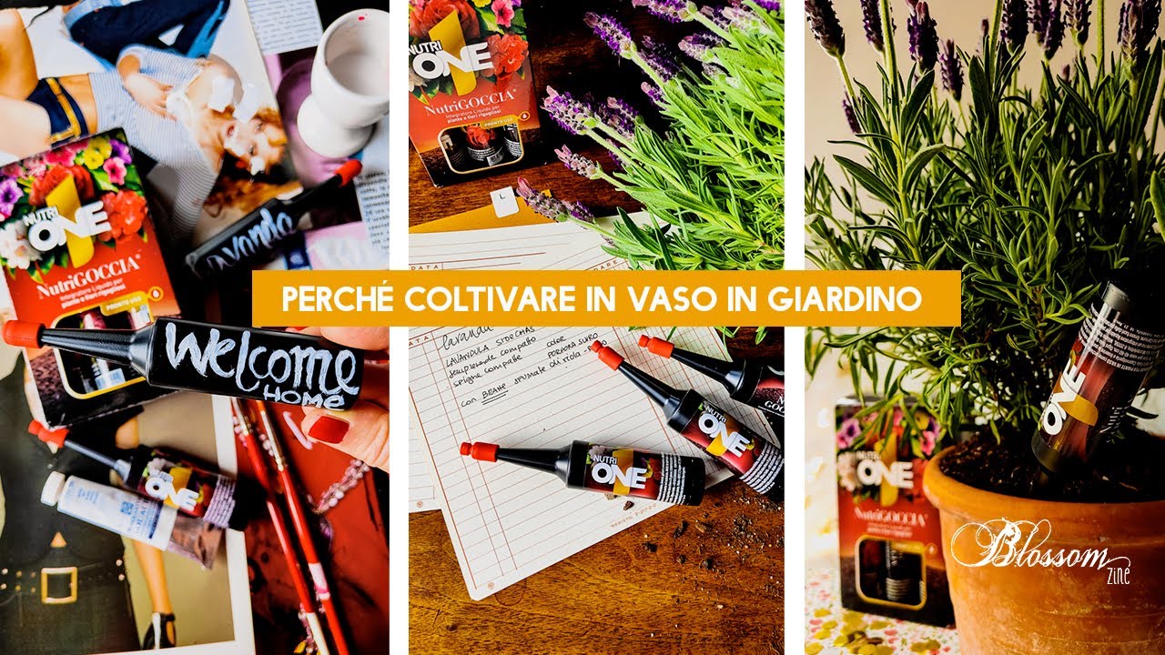 Perch&eacute; coltivare in vaso in giardino