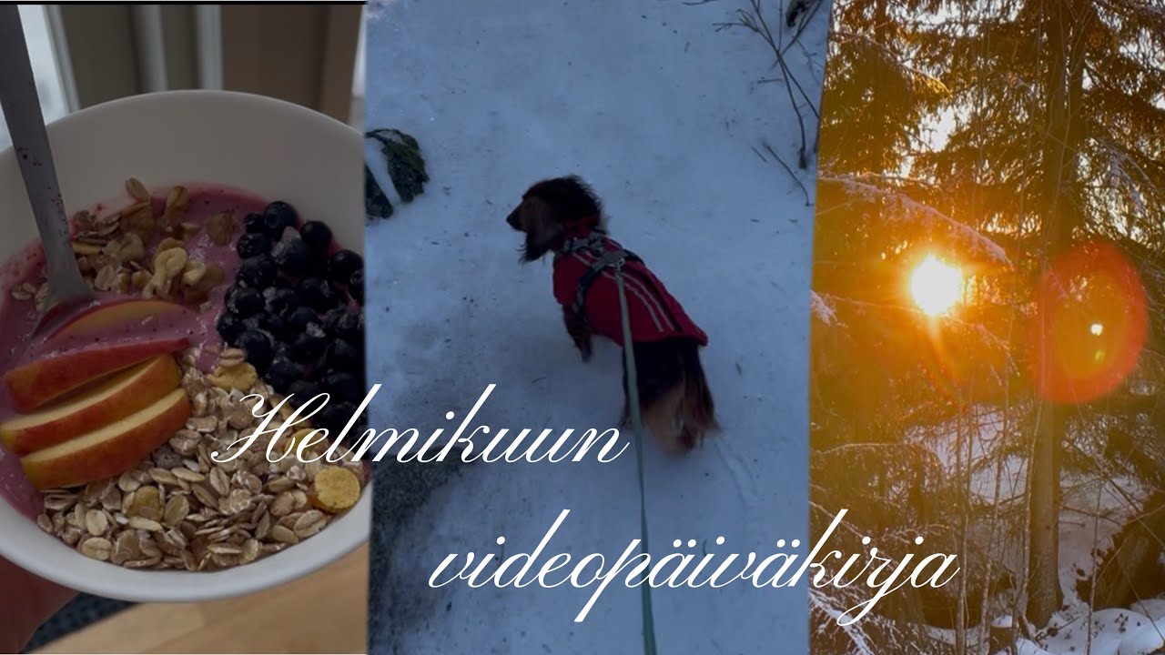 vlogi helmikuulta
