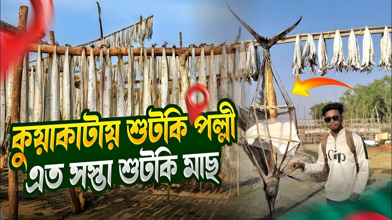 কুয়াকাটায় শুটকি পল্লী এত সস্তা শুটকি মাছ 😱 Kuakata Vlgo Episode 3 