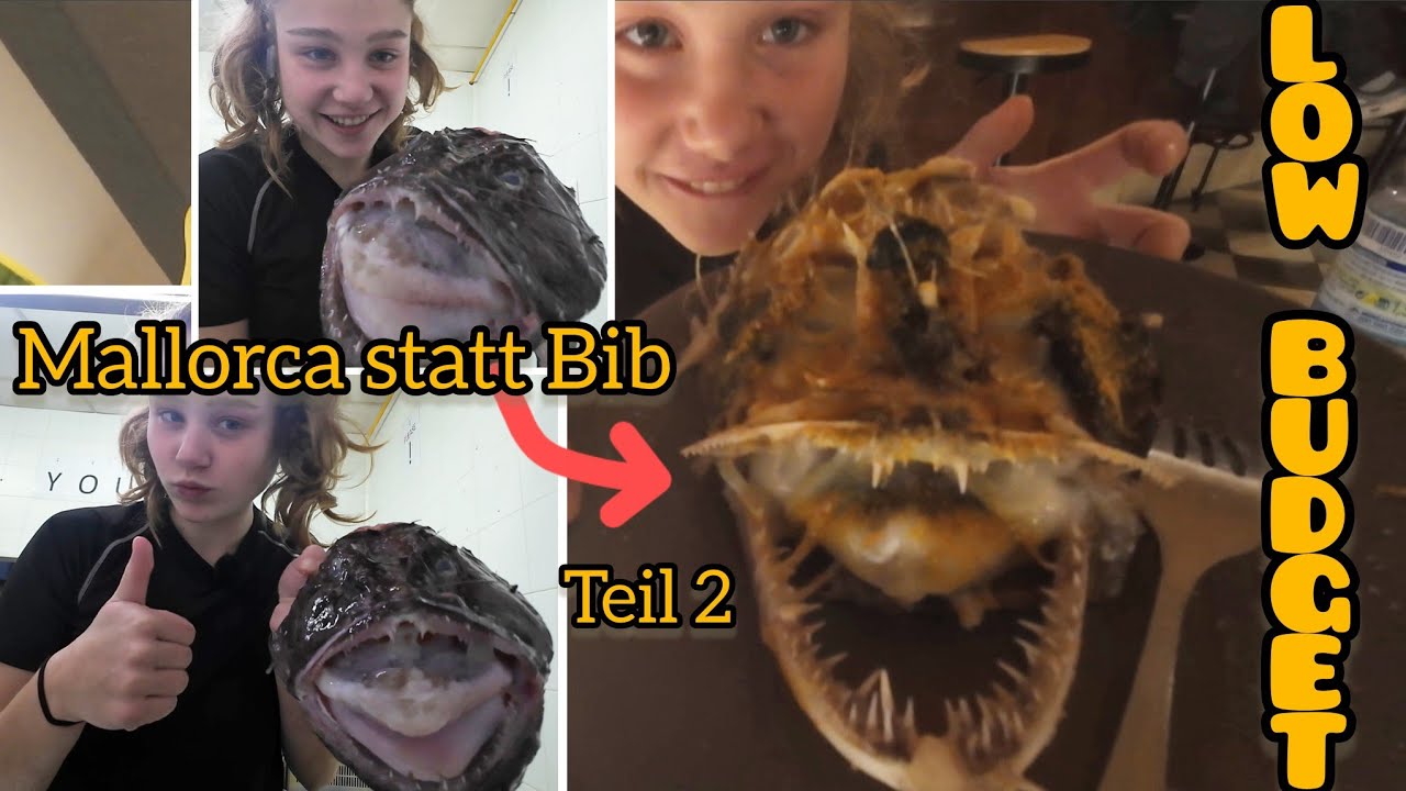 Ich koche mir ein Seemonster - Hostel & Supermarkt im Test 