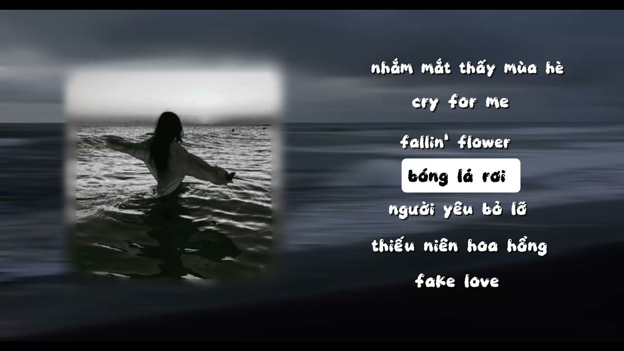 Nhạc 🎶🎵