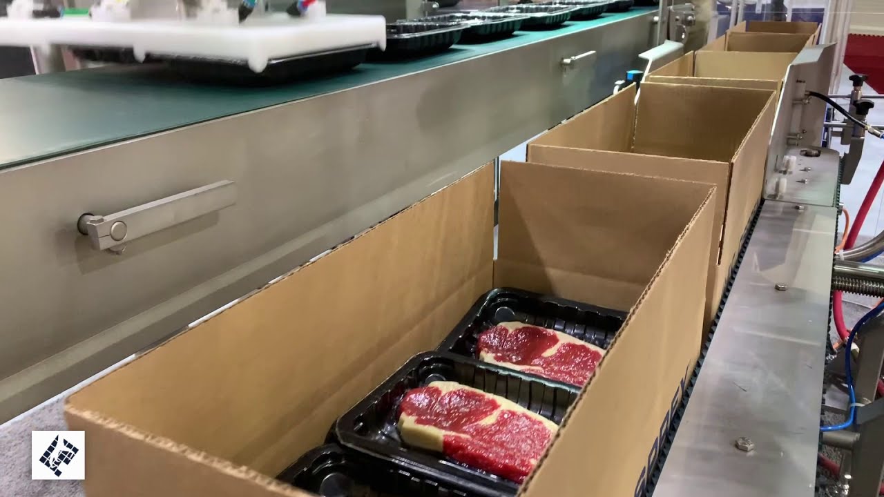 Hygienic Case Packing Solutions | JLS Automation