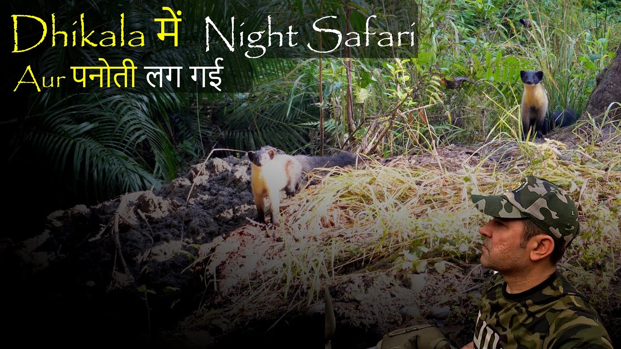 Dhikala में Night Safari | Panoti Lag gayi