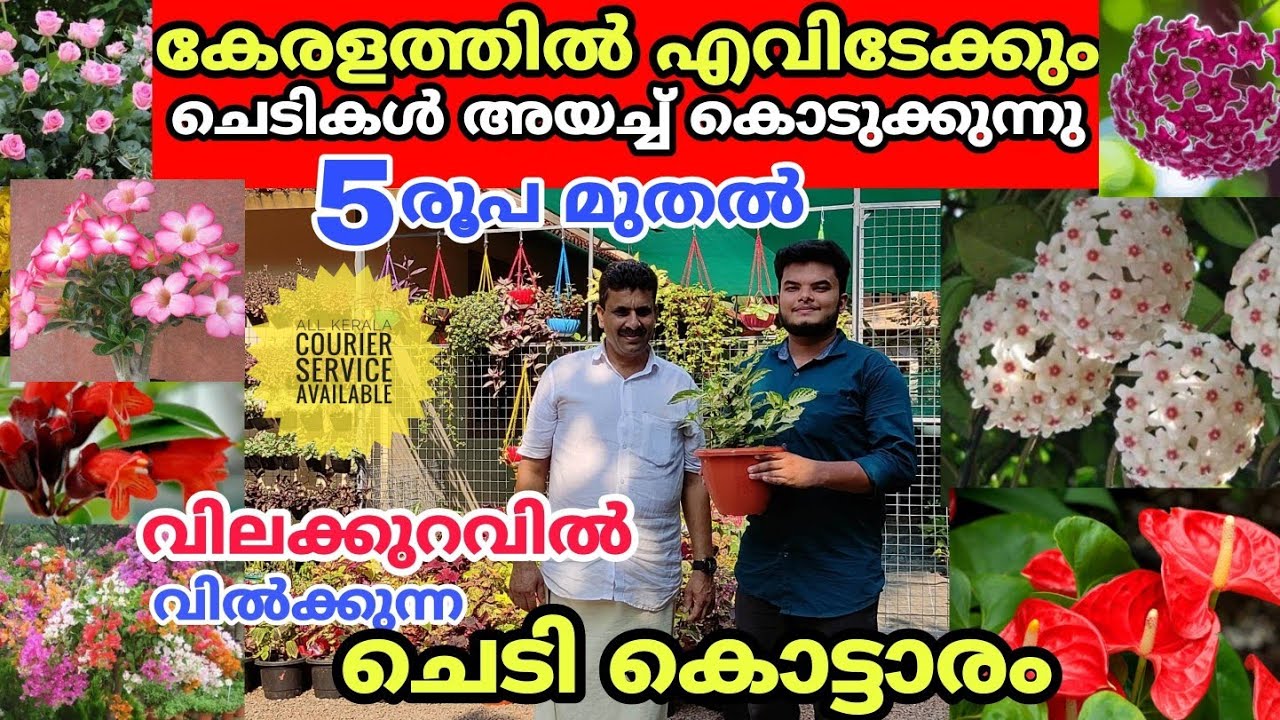 ചെടി കൊട്ടാരം | ചെടികൾ വിലക്കുറവിൽ😍| Flower Plants Home Garden Visit Kerala |  Vasi Vlogz