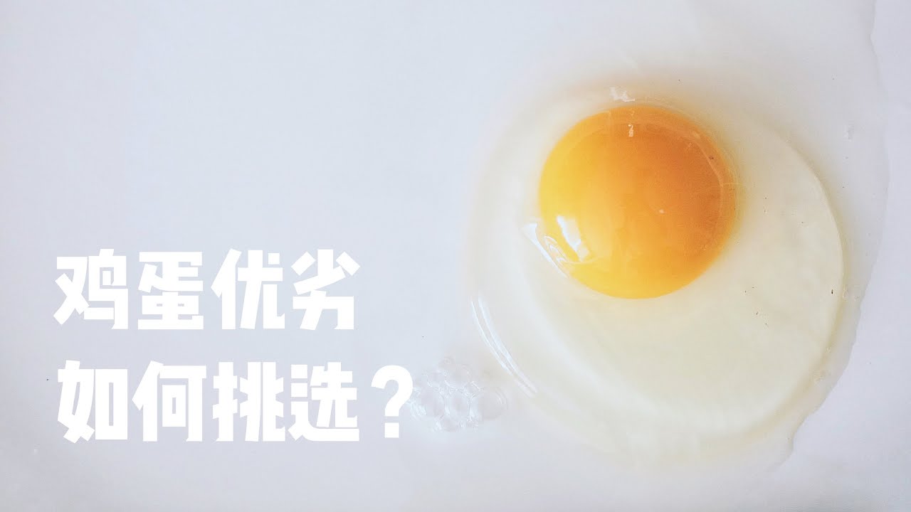 干货｜北美鸡蛋购买指南｜你以为的散养鸡不是散养的！How to choose eggs?