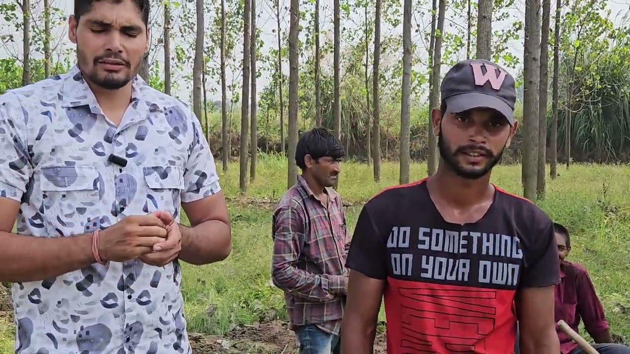 पॉपुलर पेड़ों में वजन पता कैसे करे 25 इंच और 28 के 3 साल 10 माह पेड़ों में कितना वजन होता है