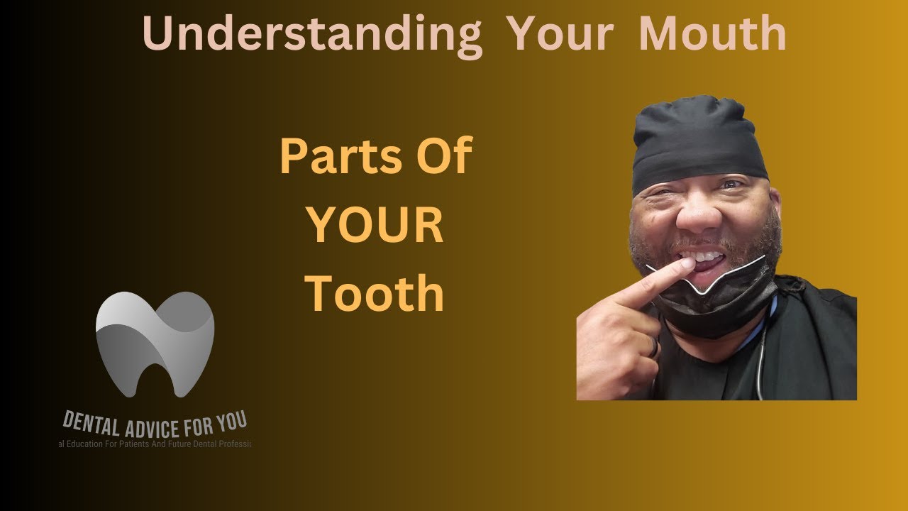 UNDERSTANDING YOUR MOUTH || Lesson 1 - Parts of YOUR Tooth