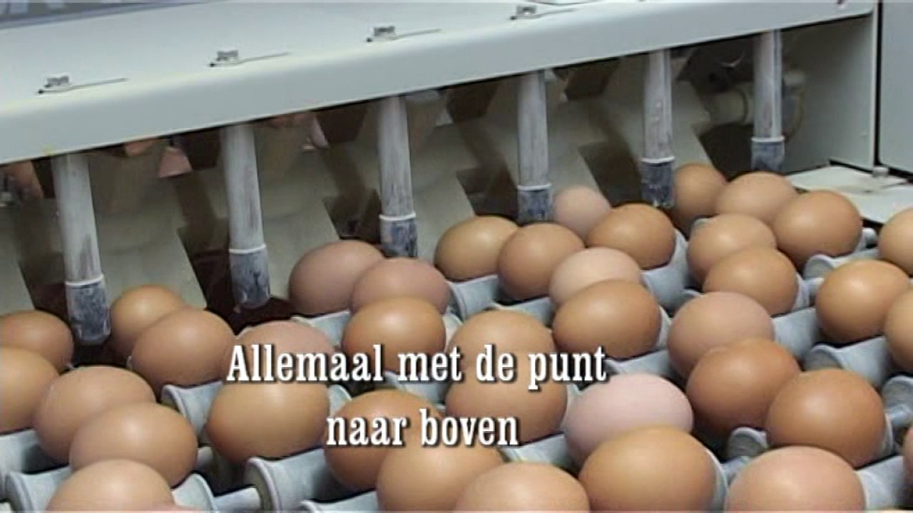 Legkippen bedrijf v d Laar ; automatisch verzamelen