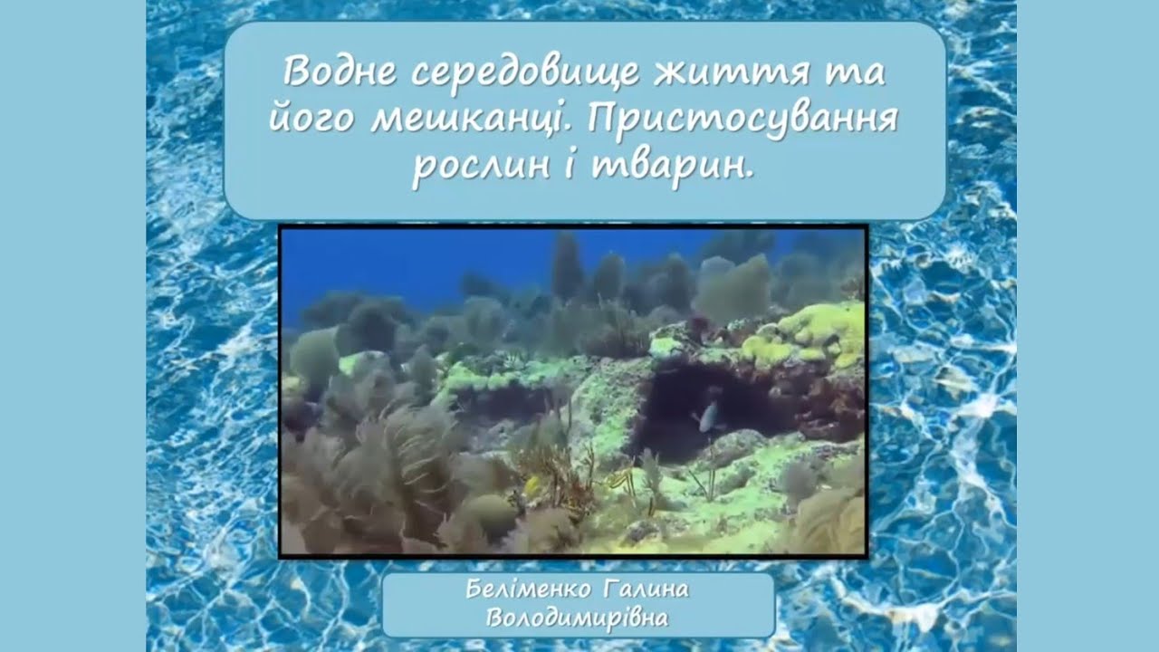 «Пізнаємо природу» 5 клас. «‎Водне середовище. Пристосування тварин та рослин»