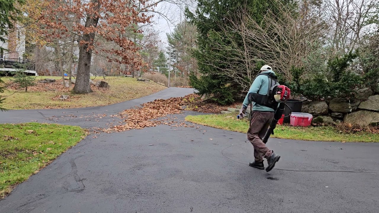Fall leaves cleaning work -part 2