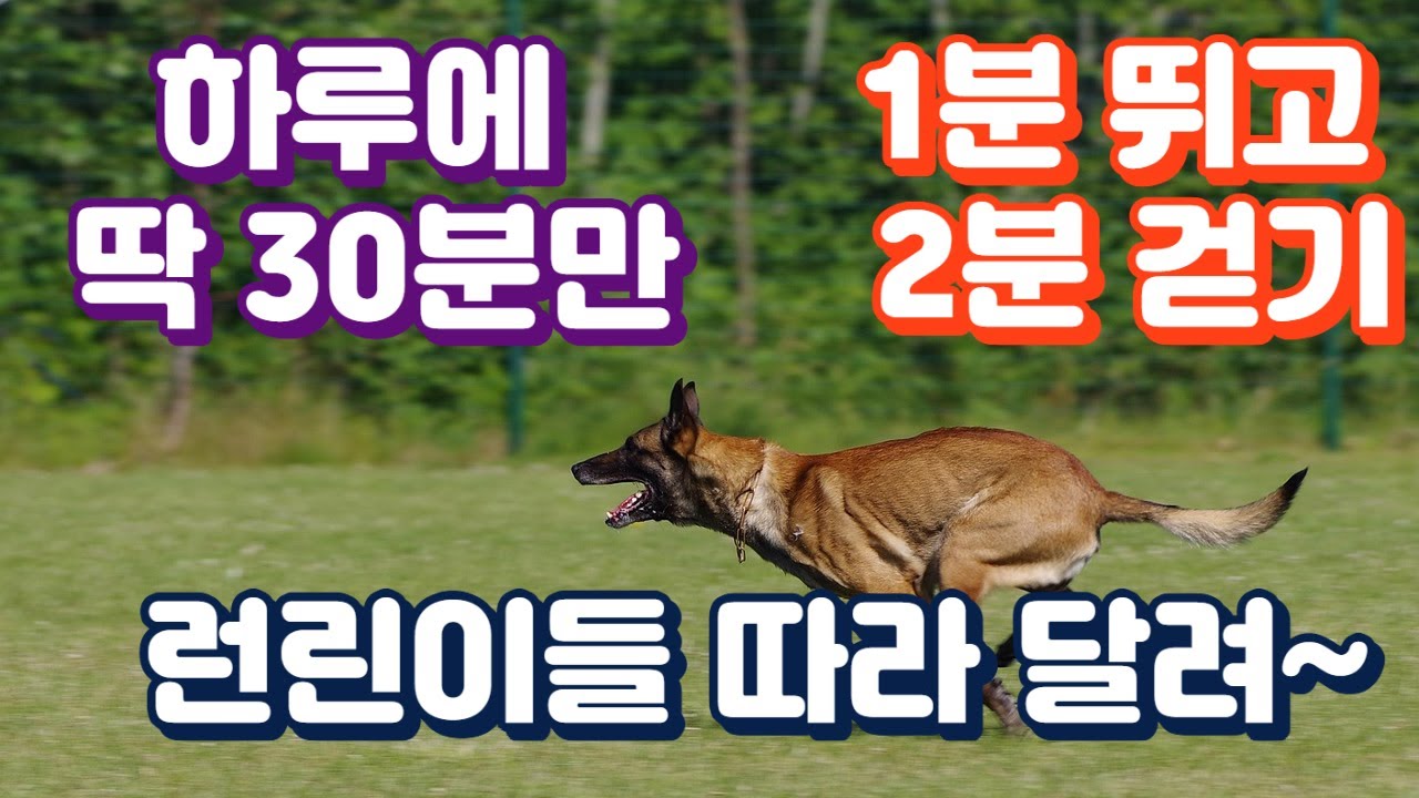[30분 운동] 1분 달리기 + 2분 걷기 | 10세트 반복 | 들으면서 따라하는 | 1Min Run + 2 Mins Walk (Total 30Mins)