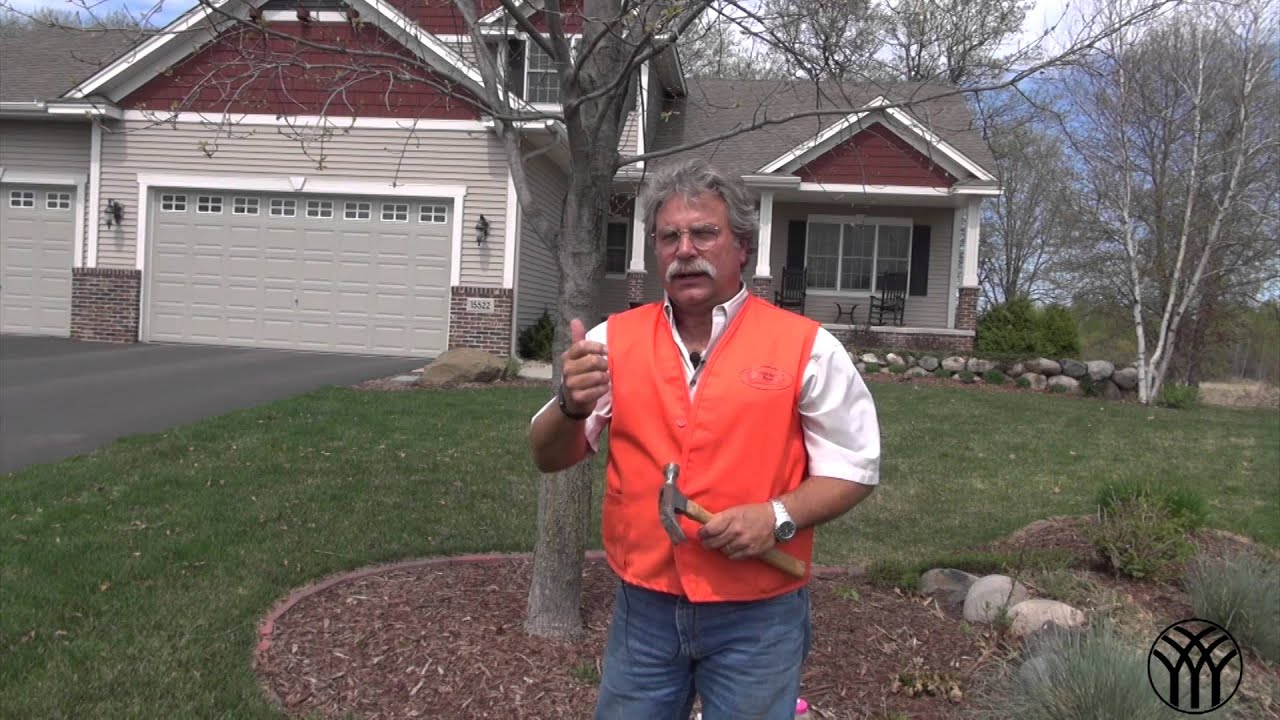 How To Fertilize Trees: Tree Spikes