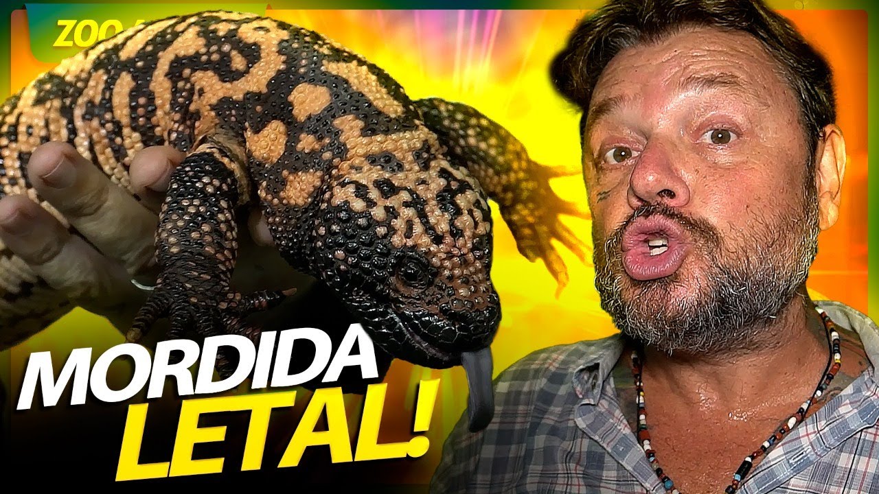 MONSTRO DE GILA, UM LAGARTO COM DENTES VENENOSOS! | RICHARD RASMUSSEN