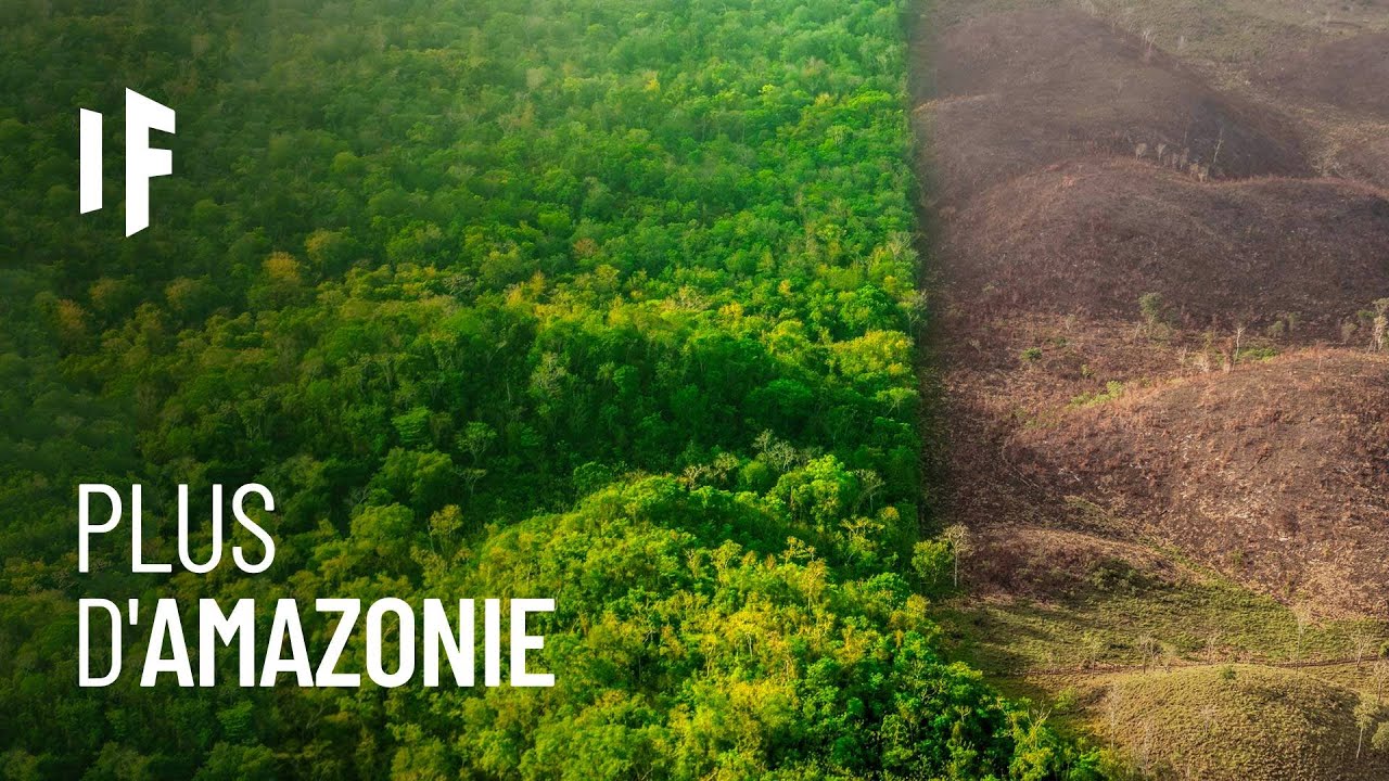 Et si la forêt amazonienne disparaissait ?