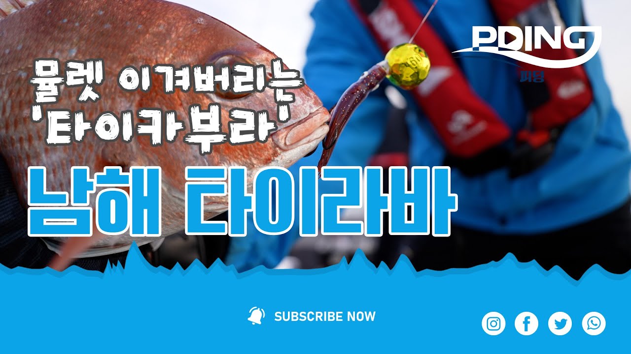 남해 타이라바 겨울 시즌 시작 그리고 비장의 채비