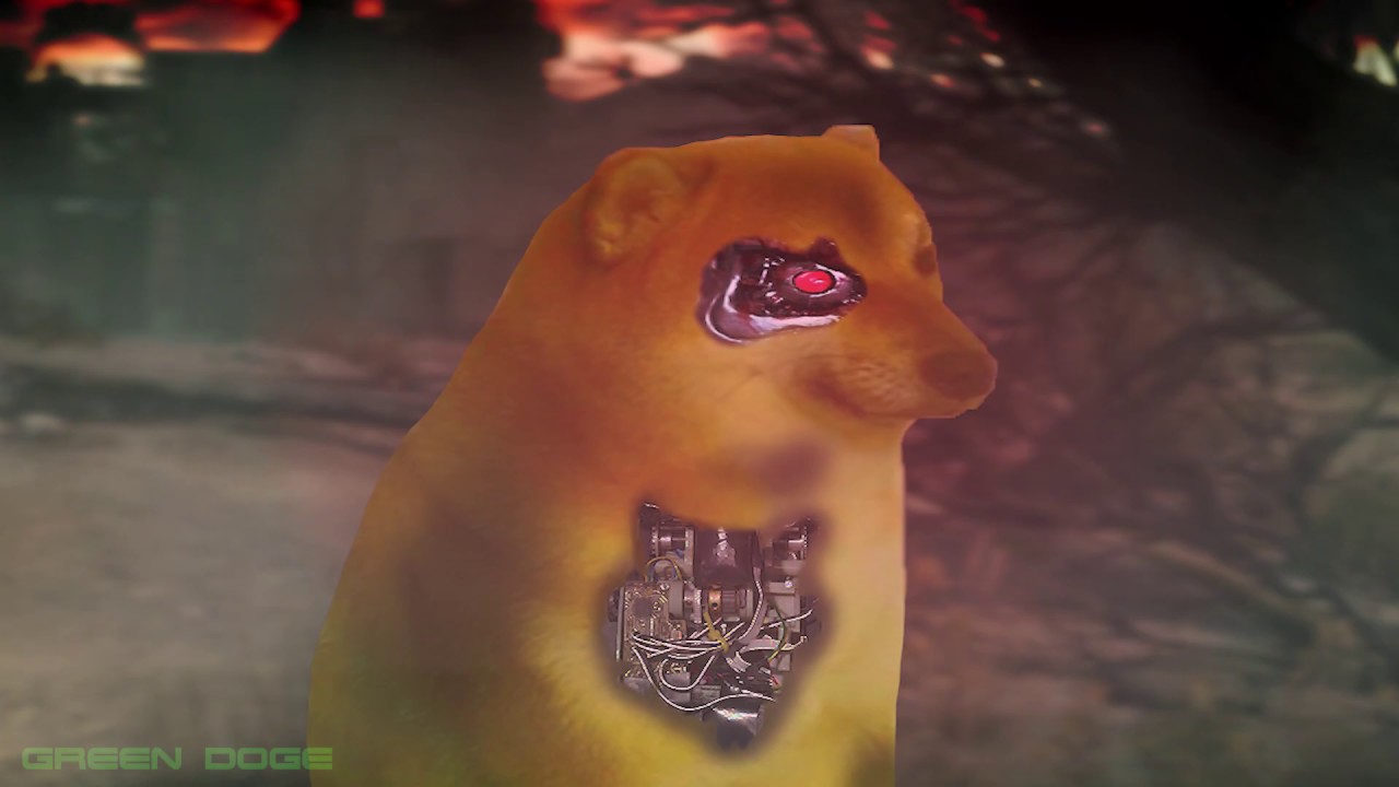 DOGE 2020