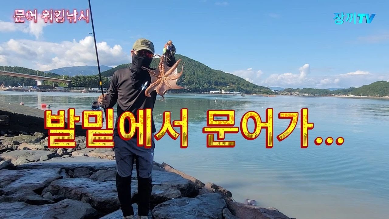 문어 워킹낚시 포인트 찾는 순간 바로 HIT