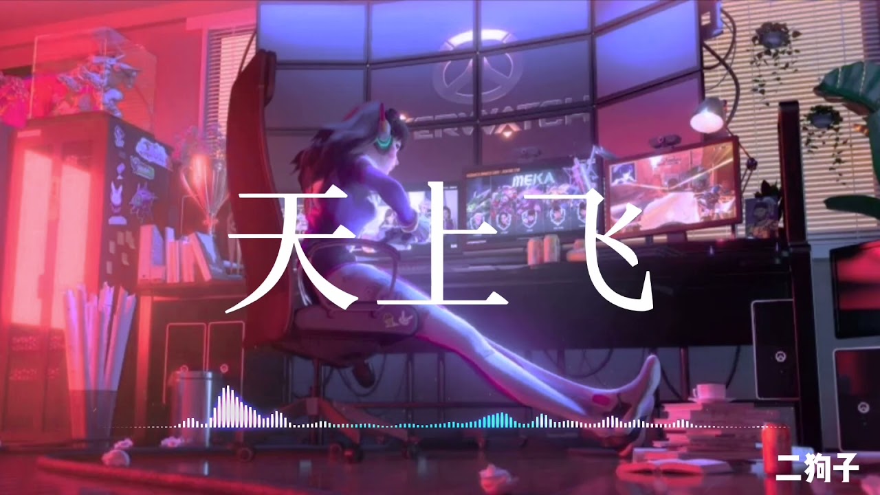 抖音神曲「天上飞」by 二狗子「顽皮老板喝不醉 每天都在天上飞」中文流行歌曲 动态歌词 完整版
