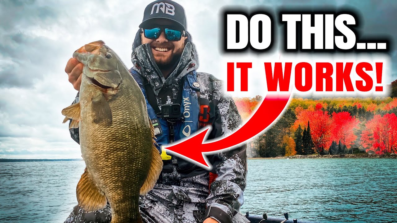 Possibly the EASIEST Fall Pattern for Smallmouth Bass