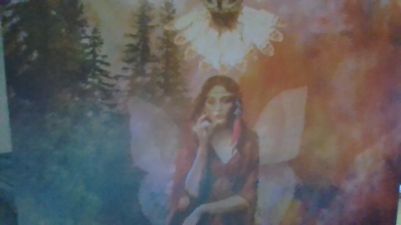 COLLECTIVE READING@MY WORLD TAROT AND MORE
