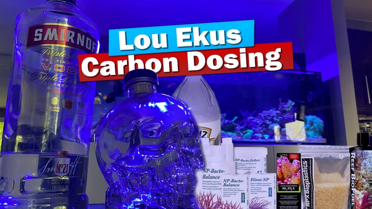 Carbon Dosing your Reef tank with Lou Ekus form Tropic Marin