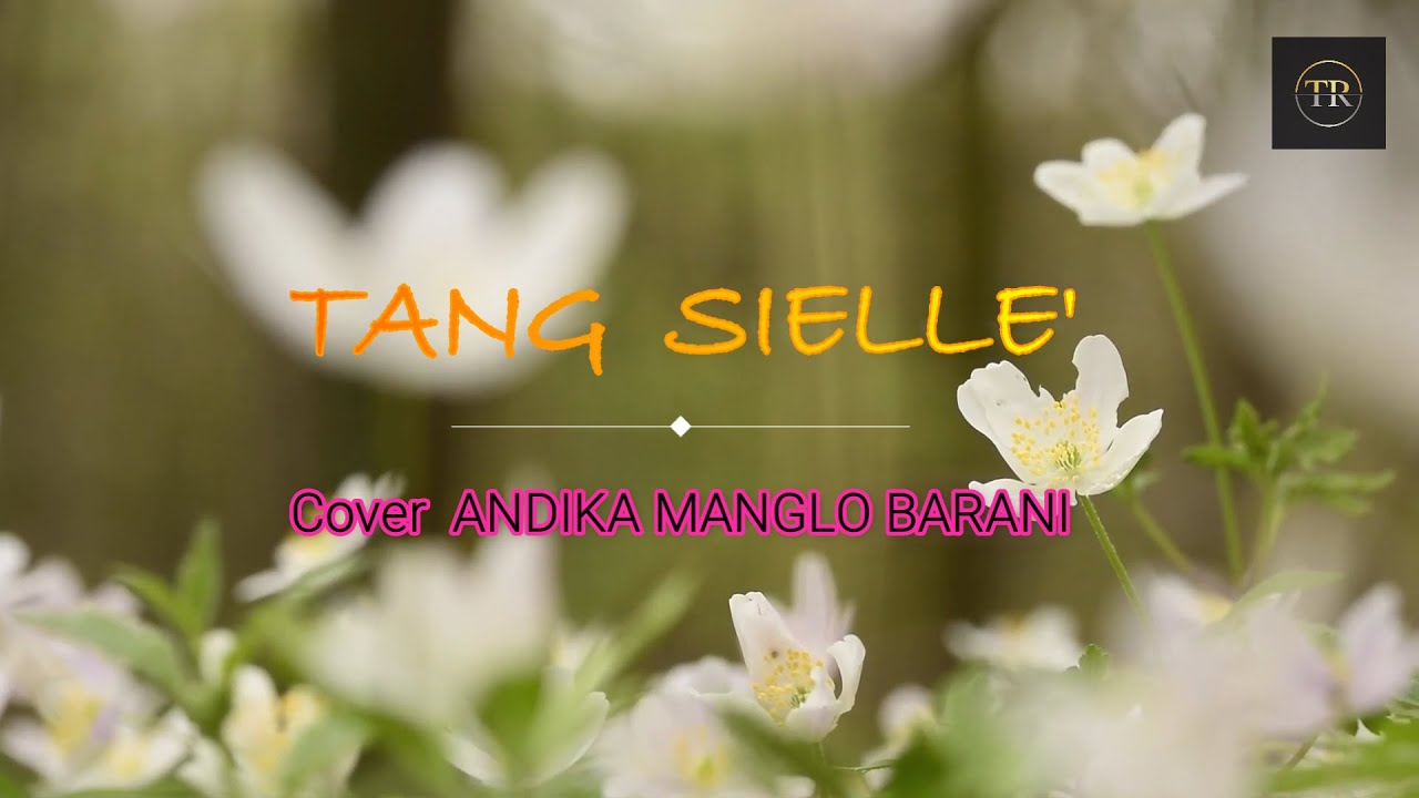 LAGU TORAJA TERBAIK / TANG SIELLE' Cover ANDIKA MANGLO BARANI + LIRIK